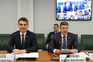 Практику реализации инициативных проектов обсудили в Совете Федерации