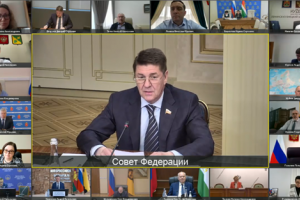 В Совете Федерации обсудили финансовые основы местного самоуправления