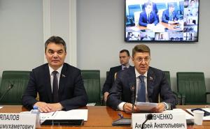 Практику реализации инициативных проектов обсудили в Совете Федерации